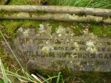 image of grave number 174314